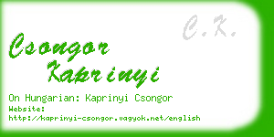 csongor kaprinyi business card